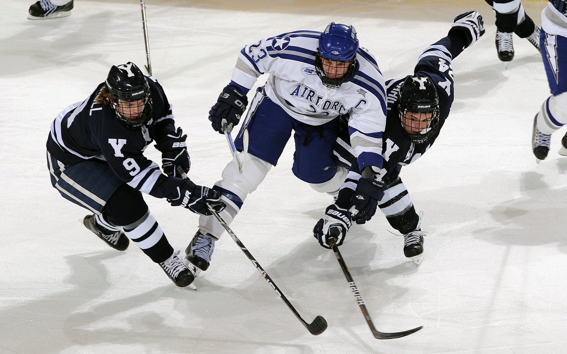 “马丁·高尔西的技术突破:美洲狮队防守体系的核心”